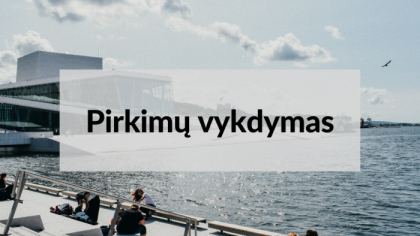 Informacinės skaidrės „Pirkimų vykdymas"