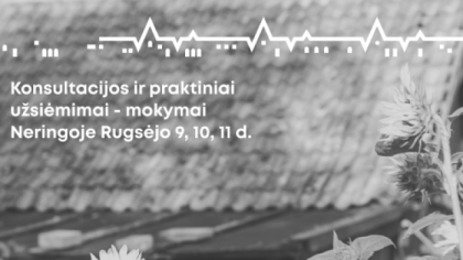  Paveldo objektų priežiūra: dėmesys prevencijai visada atsiperka