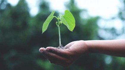 Interaktyvus žemėlapis ir švieslentė padės savivaldybėms pasiruošti klimato kaitos pokyčiams