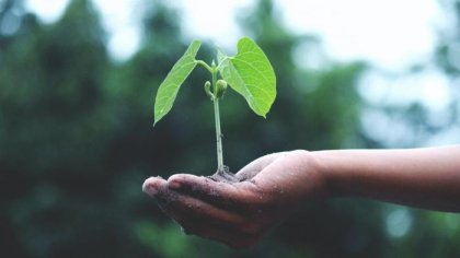 Interactive map and dashboard to help municipalities prepare for climate change
