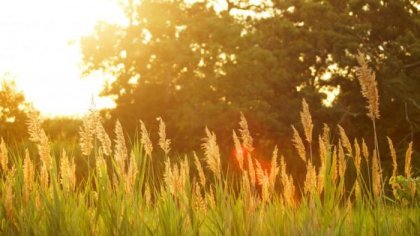 Klimato kaitos prognozės: šio balandžio orų „linksmieji kalneliai“ – netolimos ateities kasdienybė