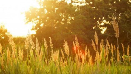 Climate Change Forecast: April's Wild Weather – What’s Coming in the Near Future