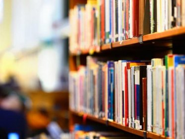 Inovatyvūs Lietuvos bibliotekų skaitymo skatinimo sprendimai vaikų ir jaunimo socialinių santykių kūrimui su aplinka